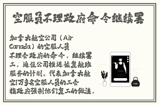 欧美成人精品视频在线播放